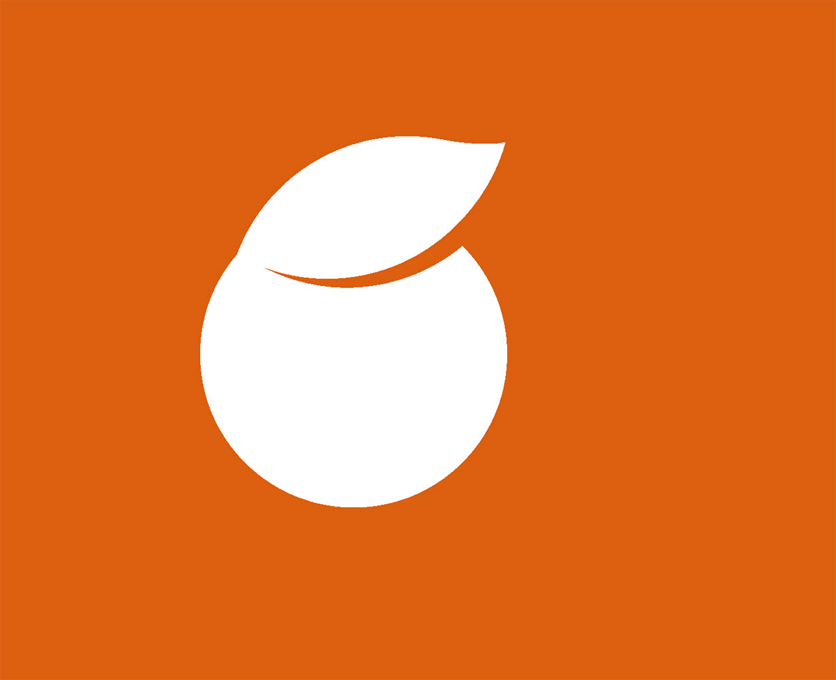 金果小橘红_品牌策划整合_品牌创意设计公司