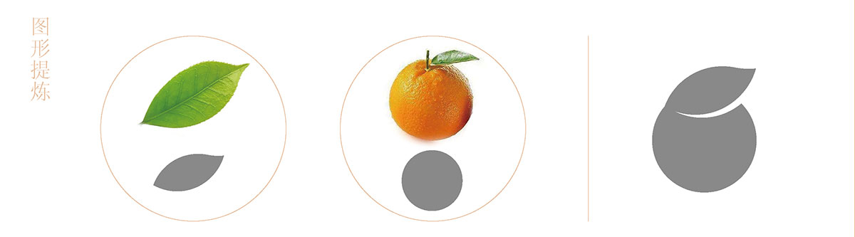 金果小橘红_品牌策划整合_品牌创意设计公司