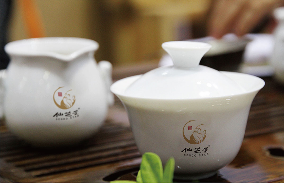 仙芝堂_品牌策划整合_品牌创意设计公司